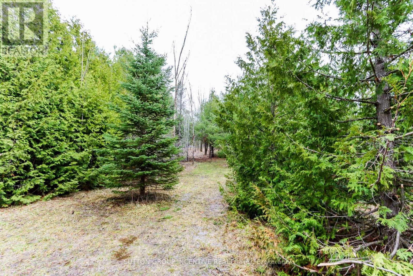 Part 4 - 2774 OLD SECOND ROAD SOUTH Image 6