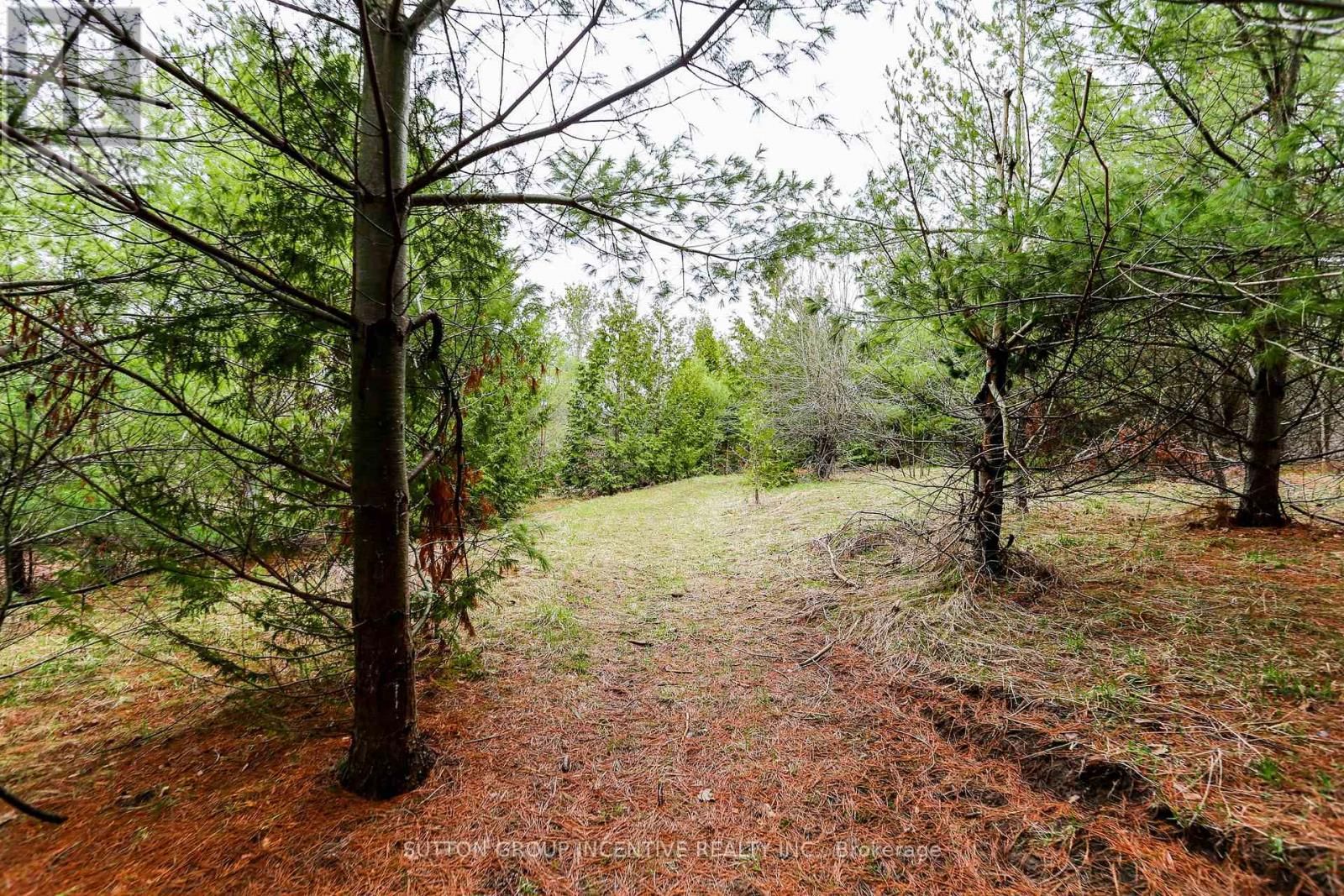 Part 4 - 2774 OLD SECOND ROAD SOUTH Image 7