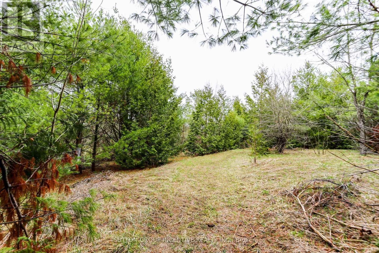 Part 4 - 2774 OLD SECOND ROAD SOUTH Image 8