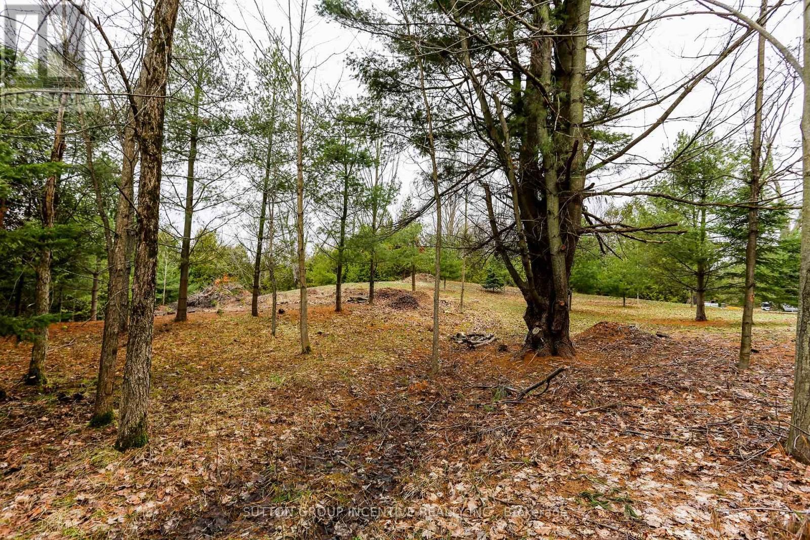 Part 4 - 2774 OLD SECOND ROAD SOUTH Image 9