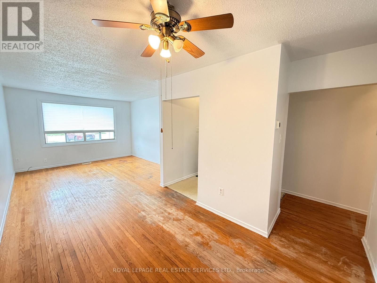 31 DAPHNE CRESCENT Image 4