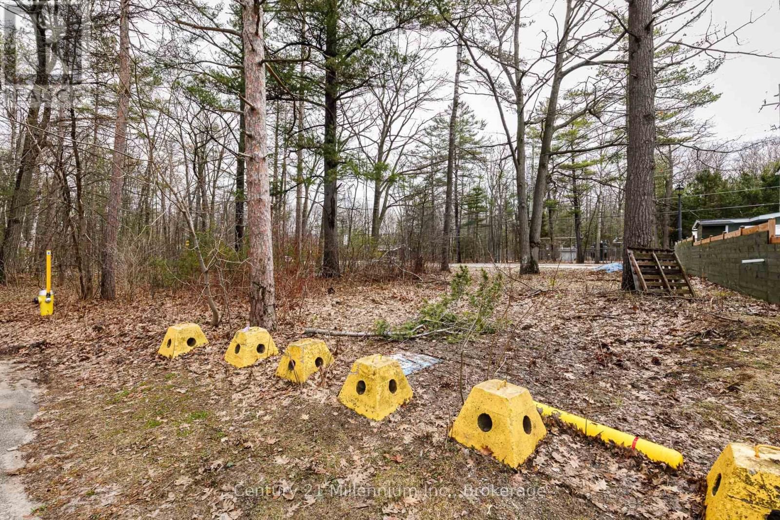 8 POPLAR STREET Image 9