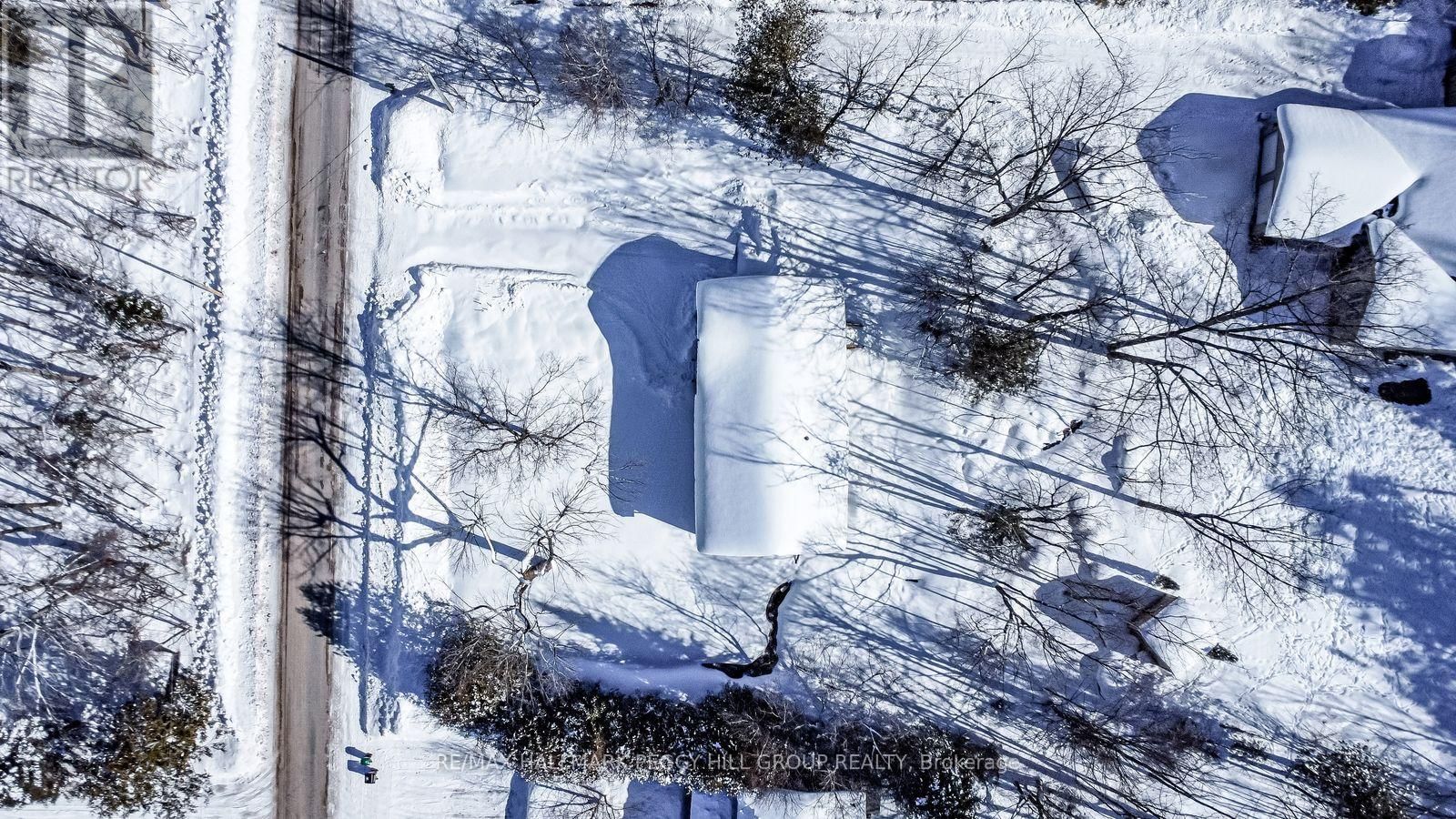 187 ALBIN ROAD Image 13