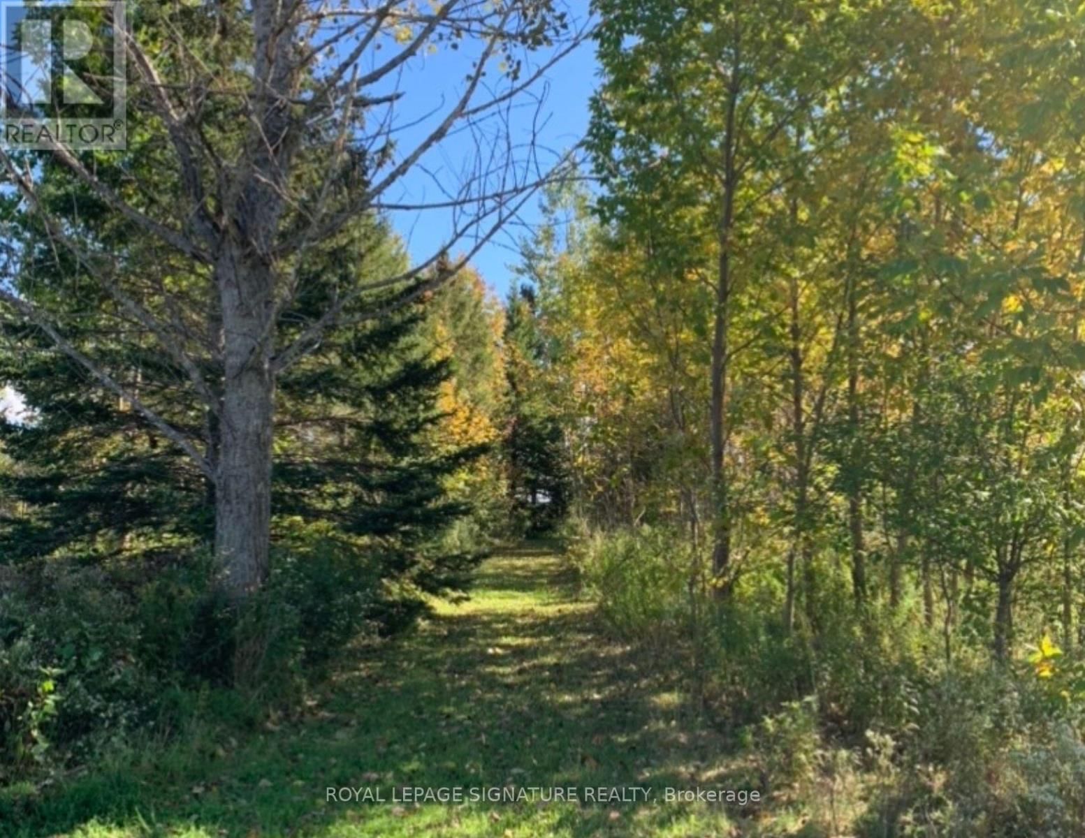 1152 CONCESSION 1 ROAD Image 29