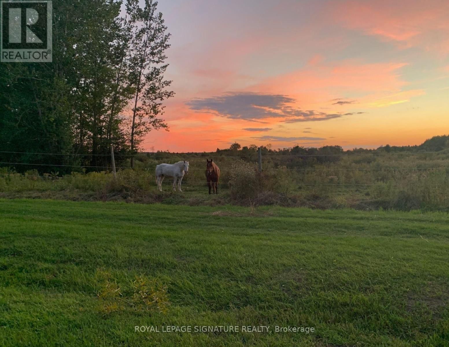 1152 CONCESSION 1 ROAD Image 36