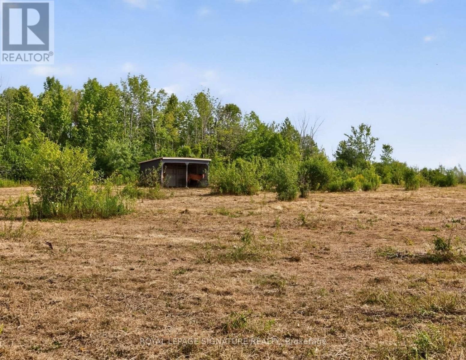 1152 CONCESSION 1 ROAD Image 37