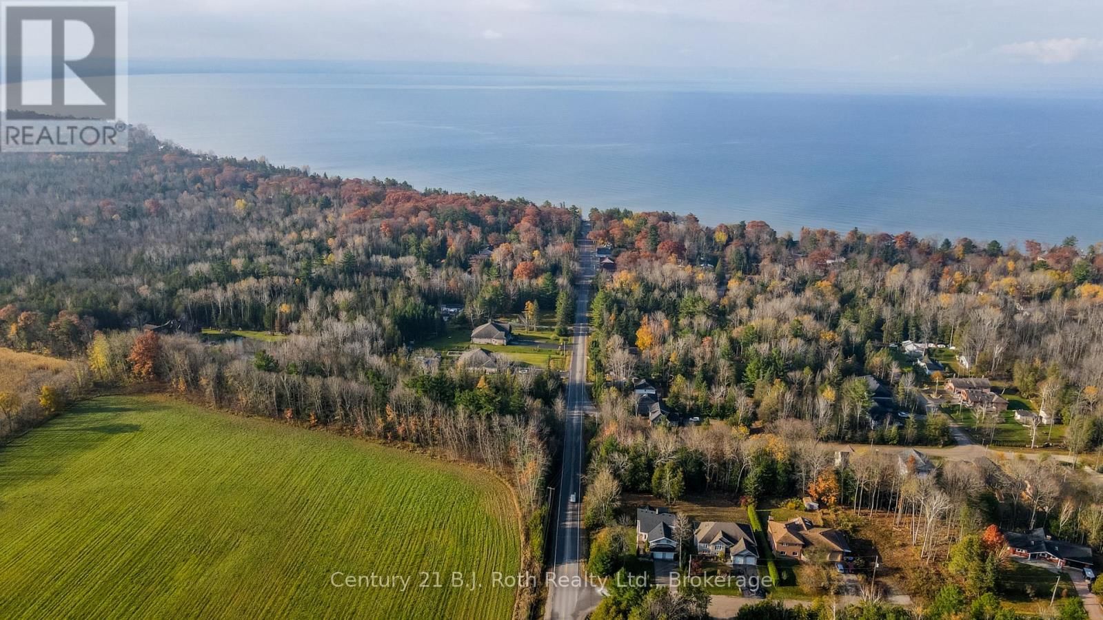 20 GRANT AVENUE Image 28