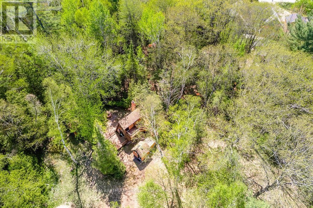 56 BIRCH TRAIL Image 38