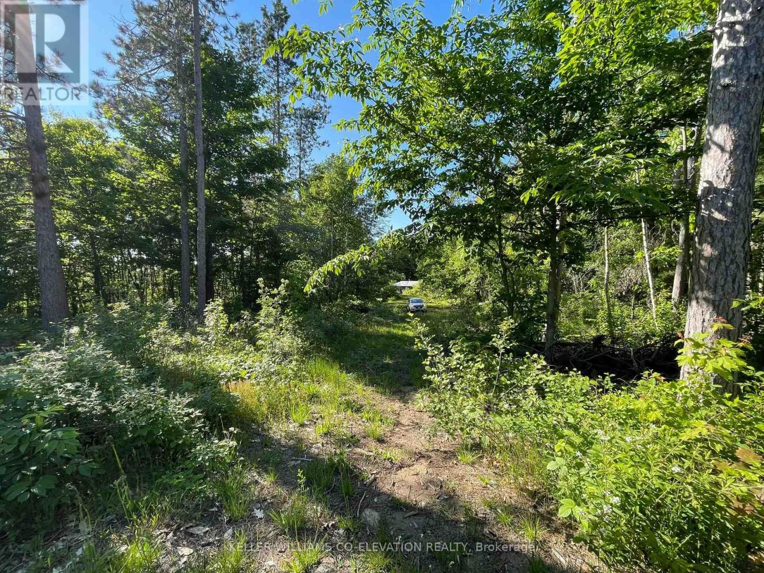 LOT 12 14 CONCESSION ROAD E Image 16