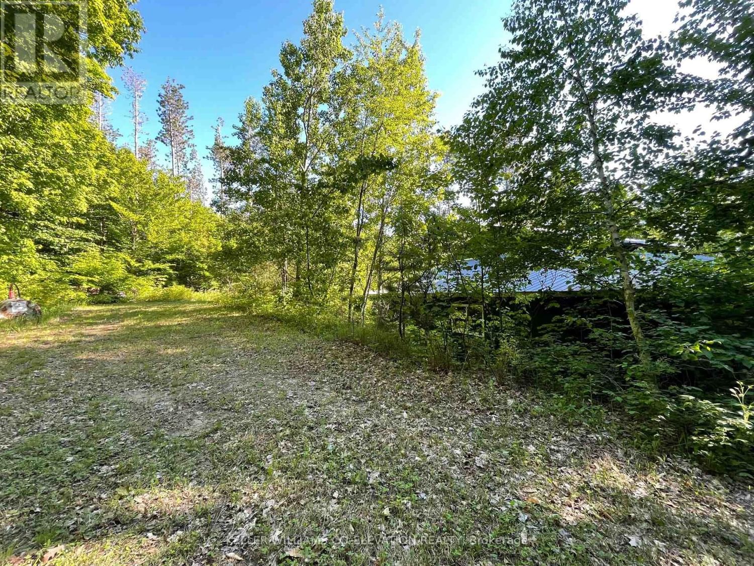 LOT 12 14 CONCESSION ROAD E Image 20