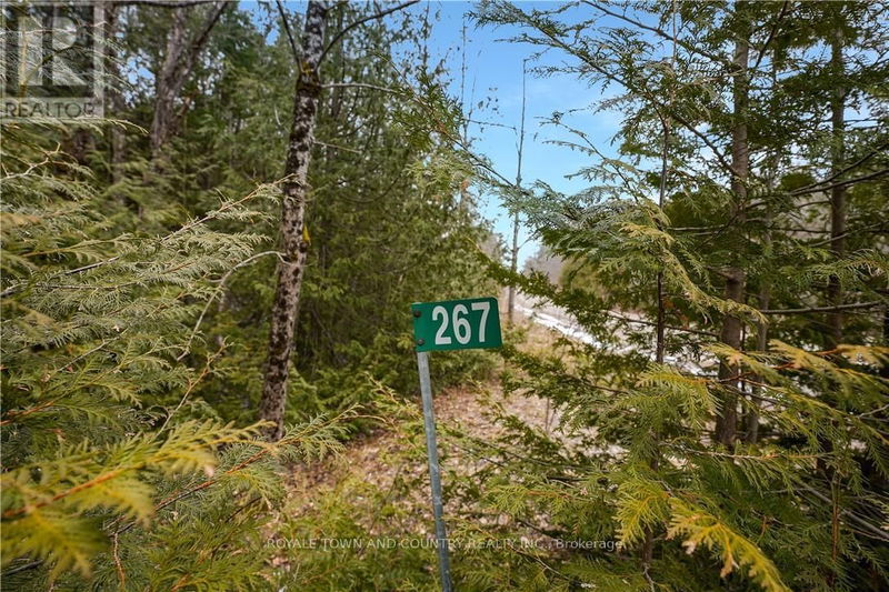 267 Hilton's Point Road  Kawartha Lakes (Norland), K0M2L0 | Image 33