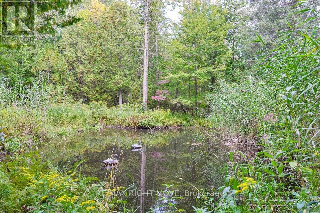 1390 WARMINSTER SIDEROAD Image 28