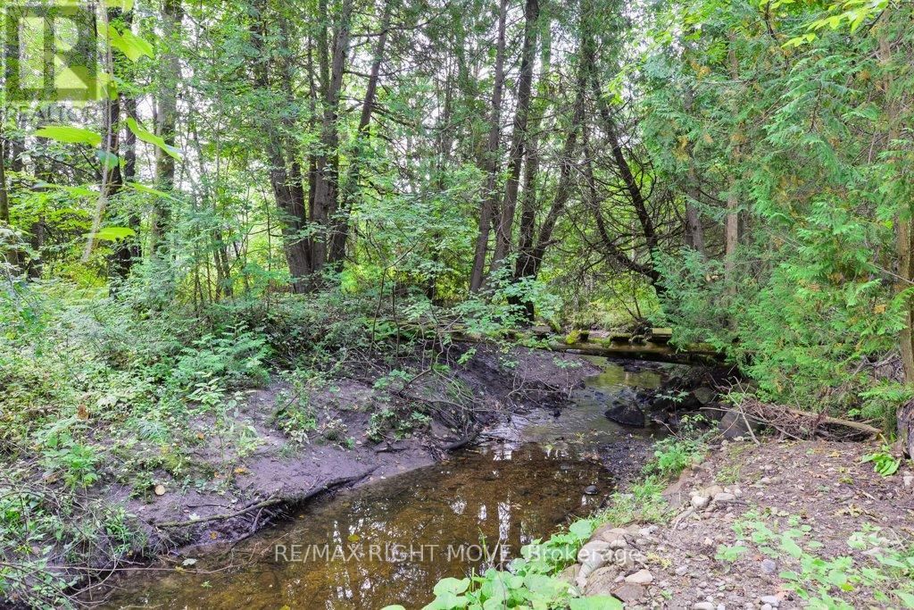 1390 WARMINSTER SIDEROAD Image 30