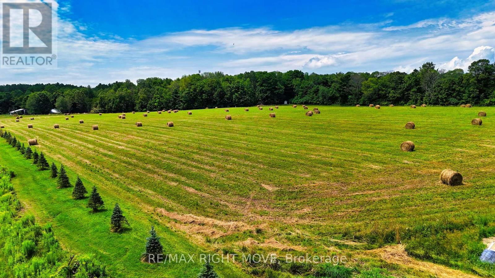 1390 WARMINSTER SIDEROAD Image 39