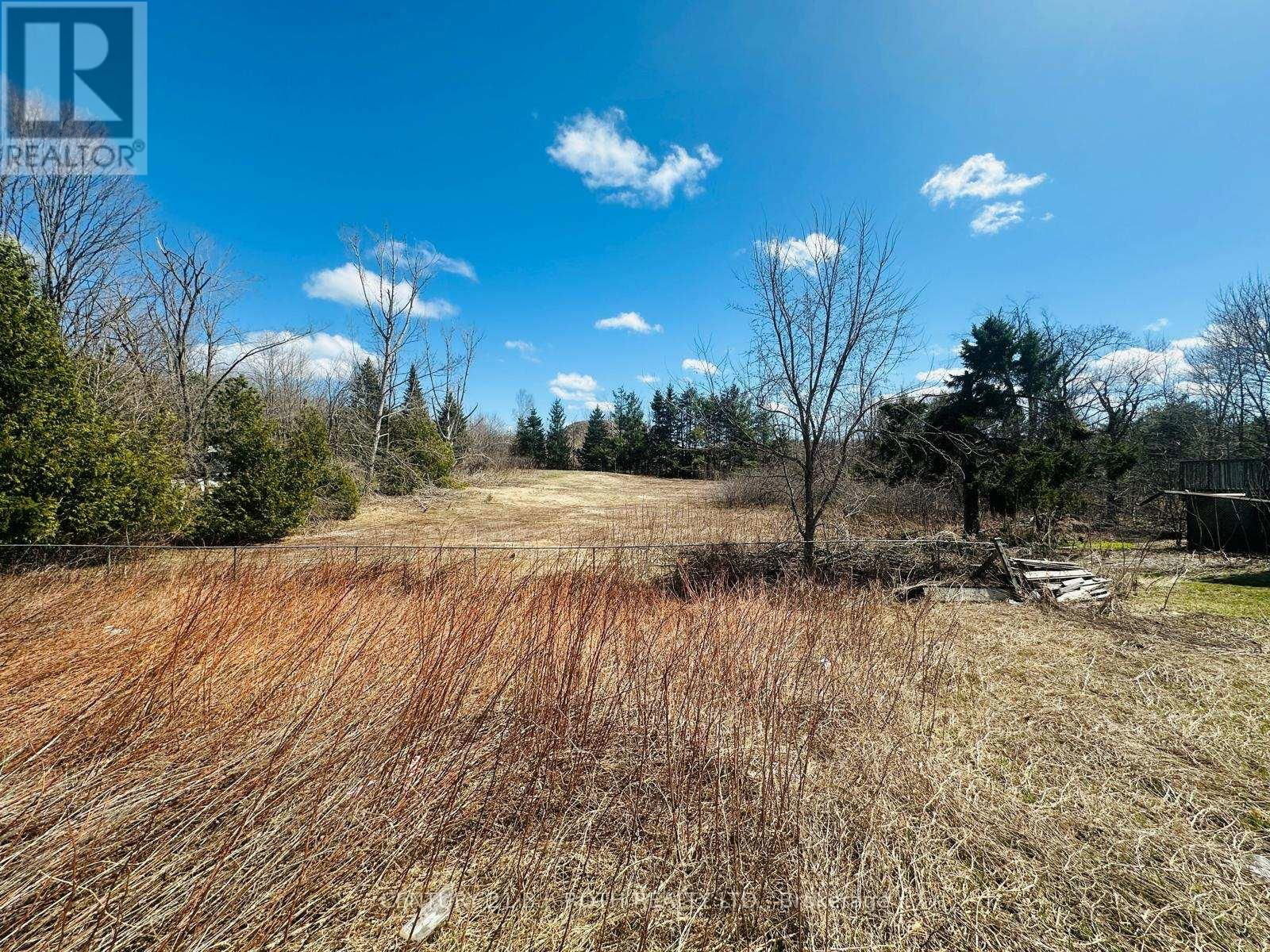 2925 OLD BARRIE ROAD EAST Image 12