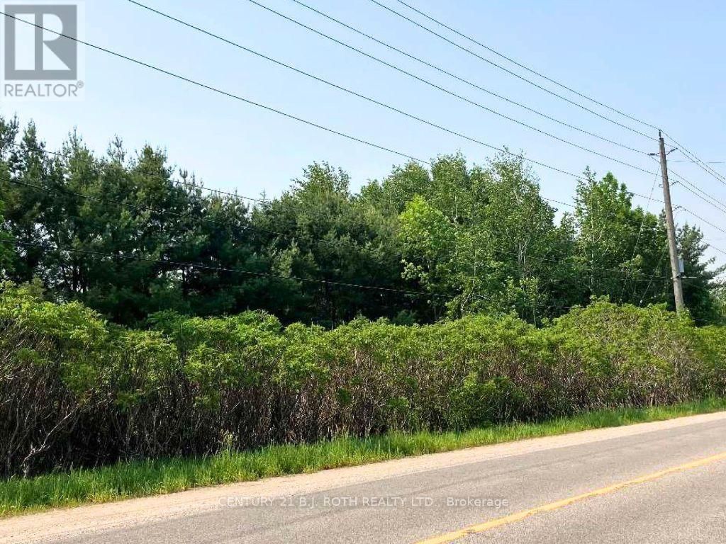 2925 OLD BARRIE ROAD EAST Image 15
