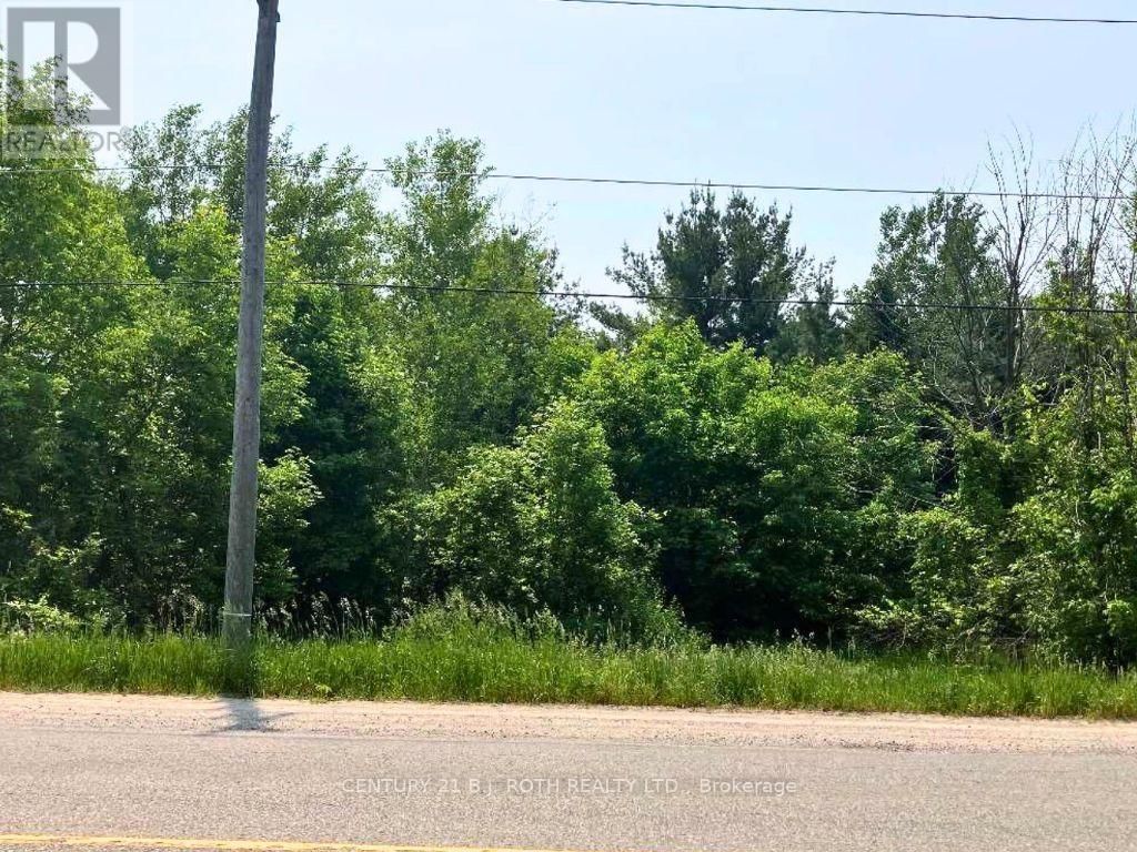 2925 OLD BARRIE ROAD EAST Image 6