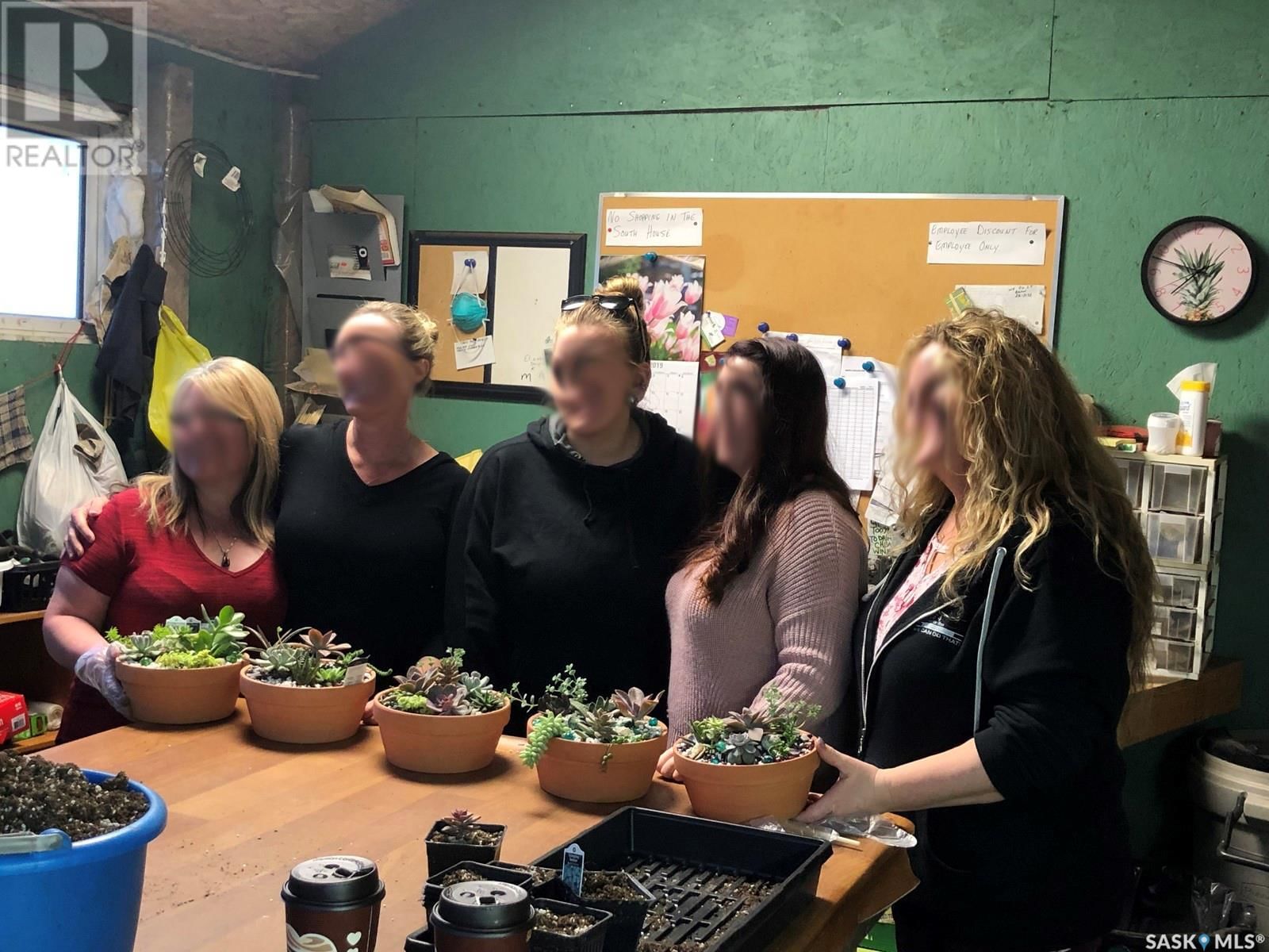 MISTY MEADOWS GREENHOUSE LTD Image 16