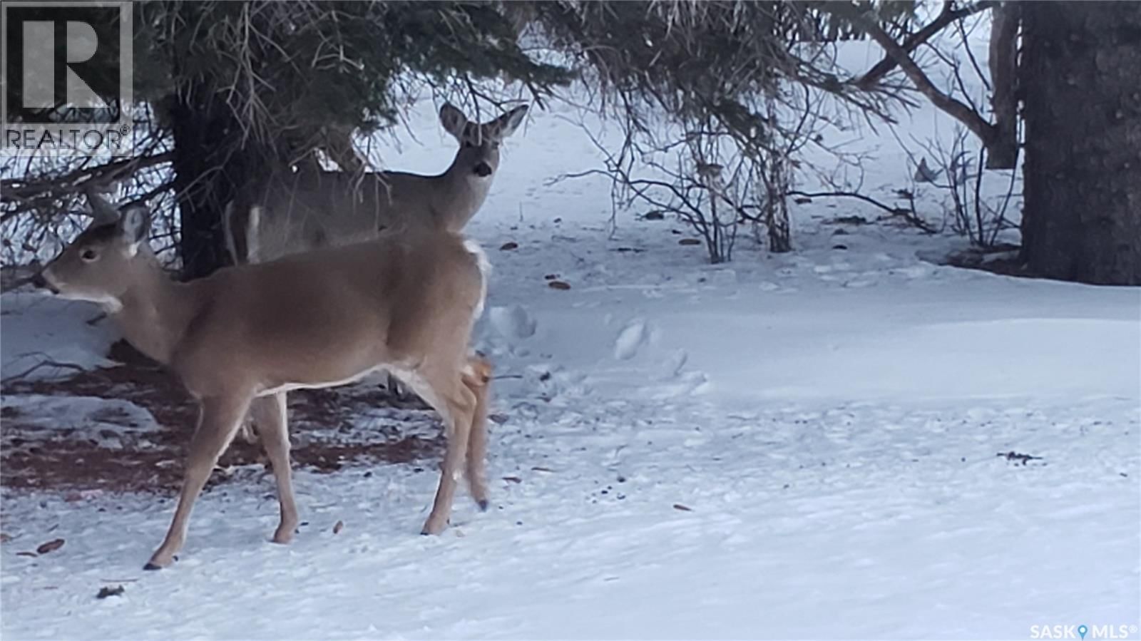 91 MOIR DRIVE Image 36