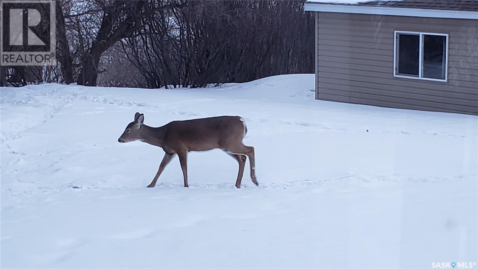 91 MOIR DRIVE Image 37