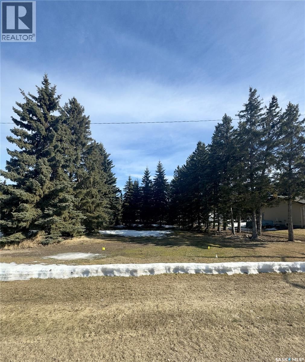 315 2nd STREET, Waldheim, Saskatchewan S0K 4R0