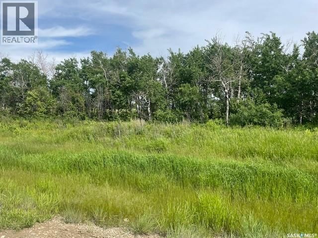 6 Viceroy ROAD, North Battleford Rm No. 437, Saskatchewan S9A 0S6