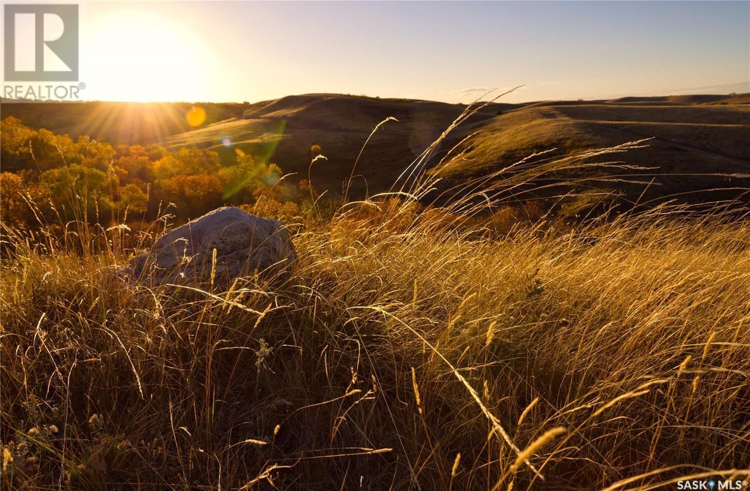 Businesses for Sale in Saskatchewan