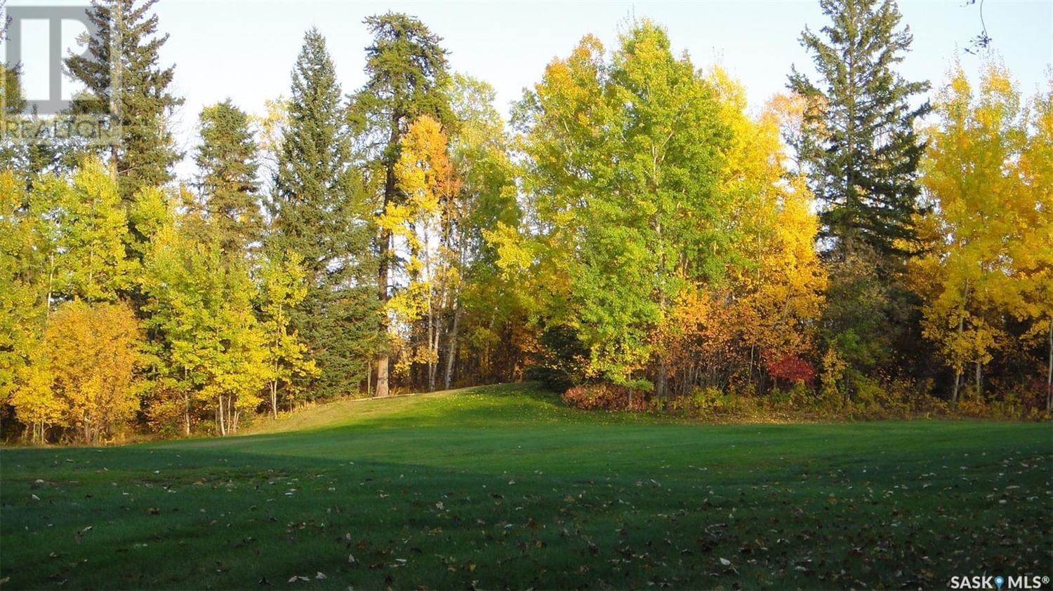 Businesses for Sale in Saskatchewan