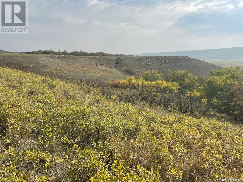 Image #1 of Business for Sale at Kaposvar Creek Sheep Farm, Spy Hill., Saskatchewan