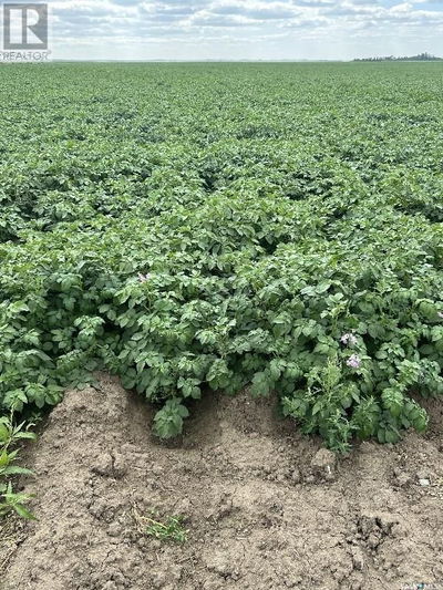 Farms for Sale