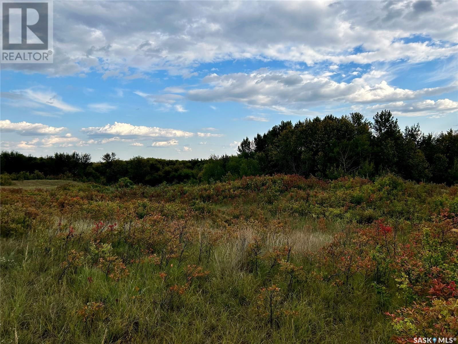 Pike Lake Highway Acreage Image 14