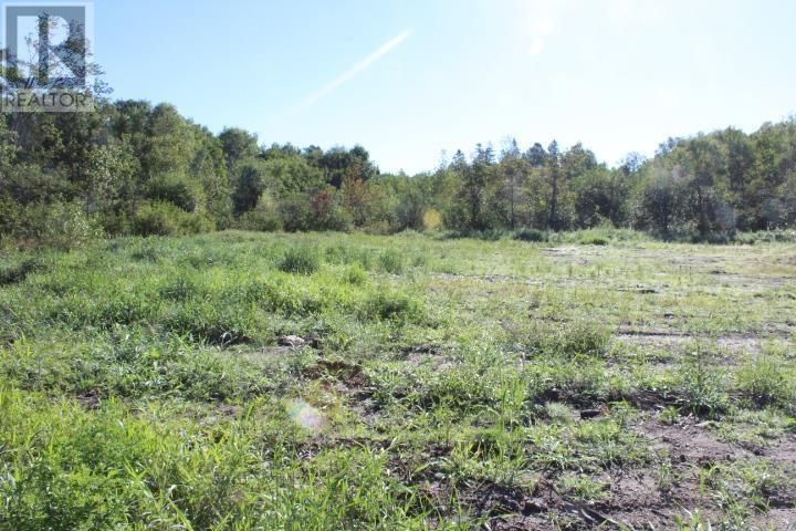 Lot 51 Woodward AVE Image 13