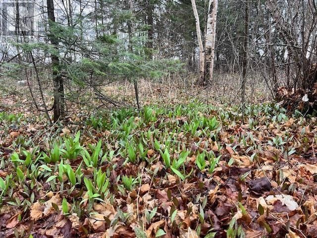  Lot - 37 Byes Side RD  Goulais River, P0S1E0 | Image 26