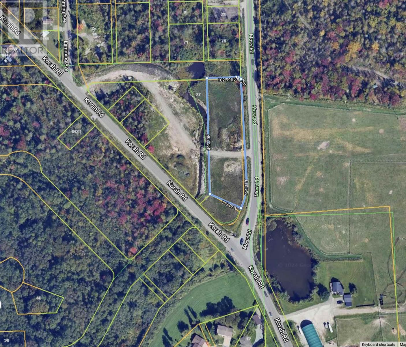 Primary Property View