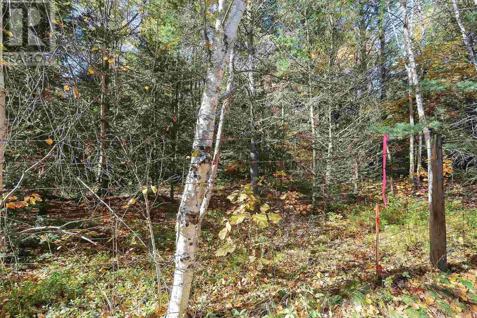 Lot - 16 NOKOMIS BEACH RD Image 7