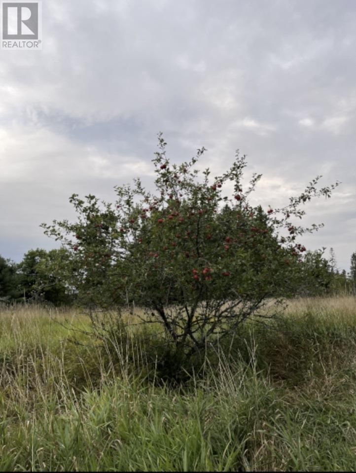 2521 U LINE RD Image 16