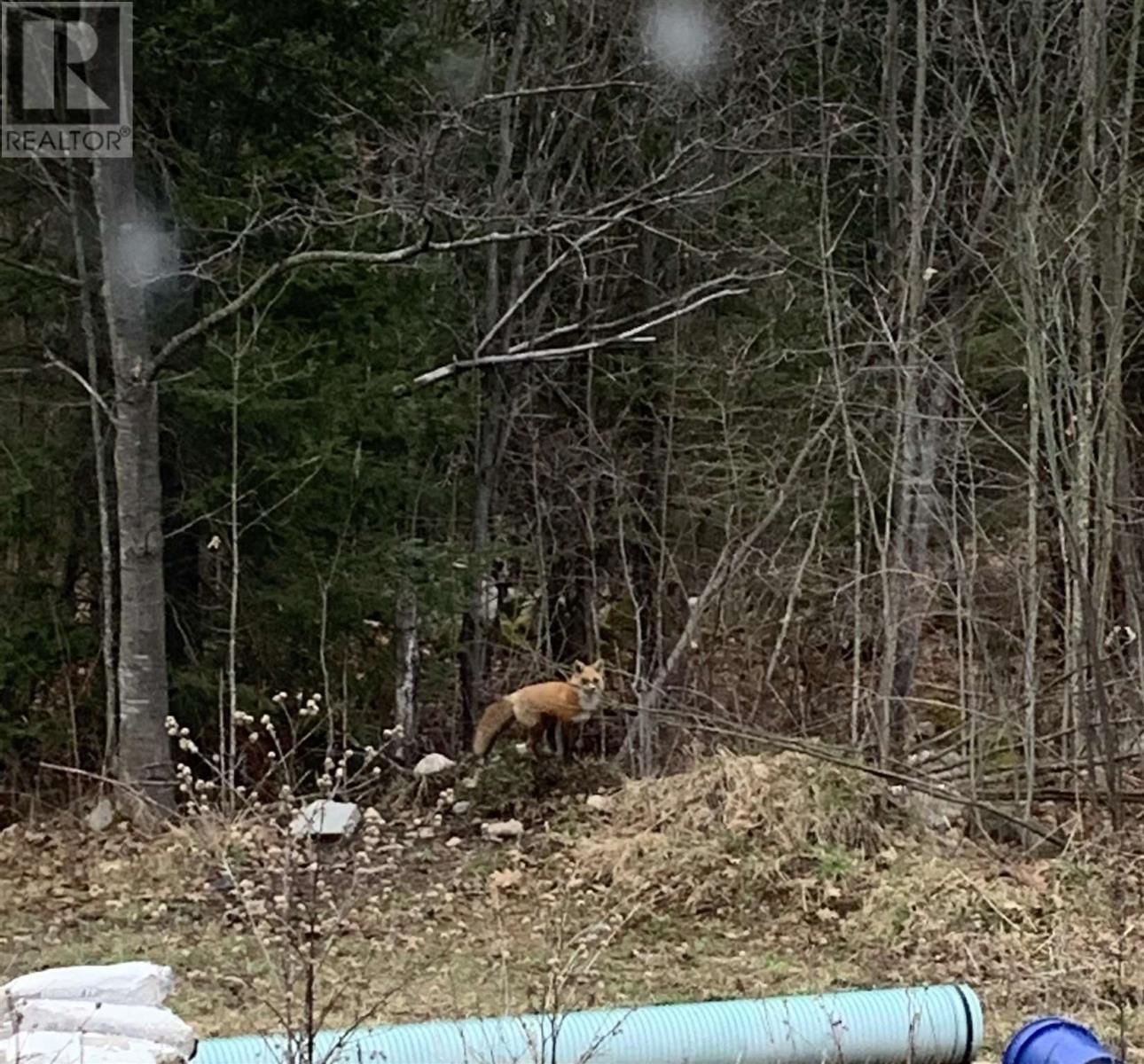 2521 U LINE RD Image 17