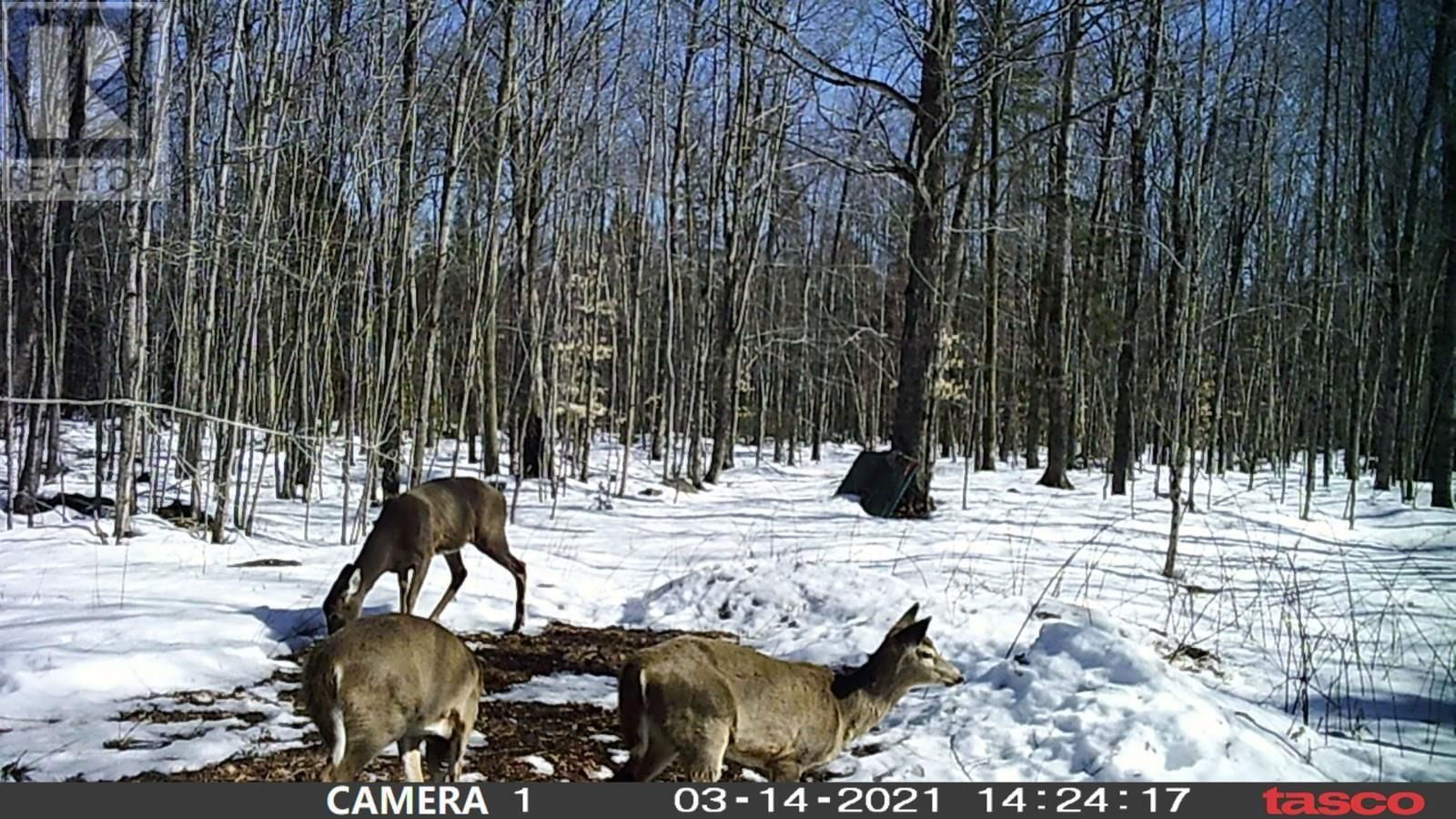 2521 U LINE RD Image 19