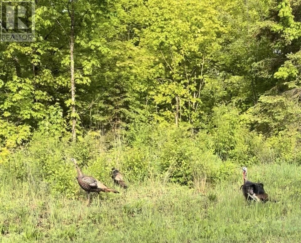 2521 U LINE RD Image 8