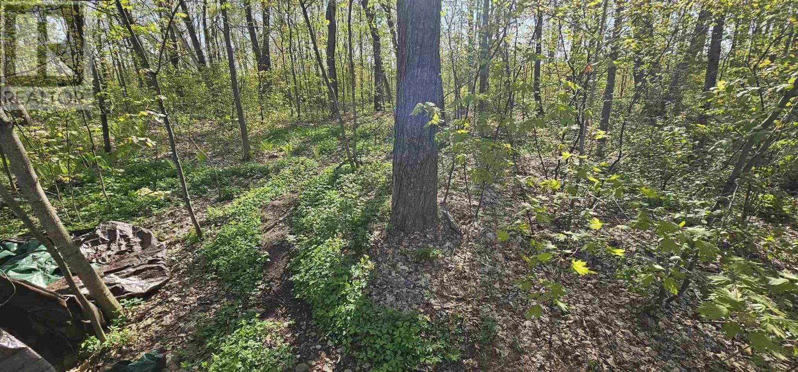 47 THORNELOE CRES Image 12