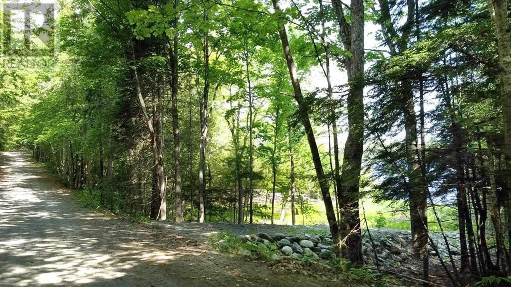 188 HALSTEAD RD Image 2