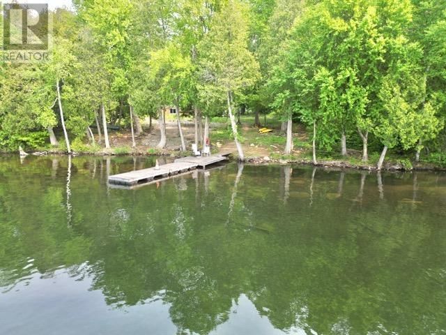 884 DUNLOP SHORES RD Image 4