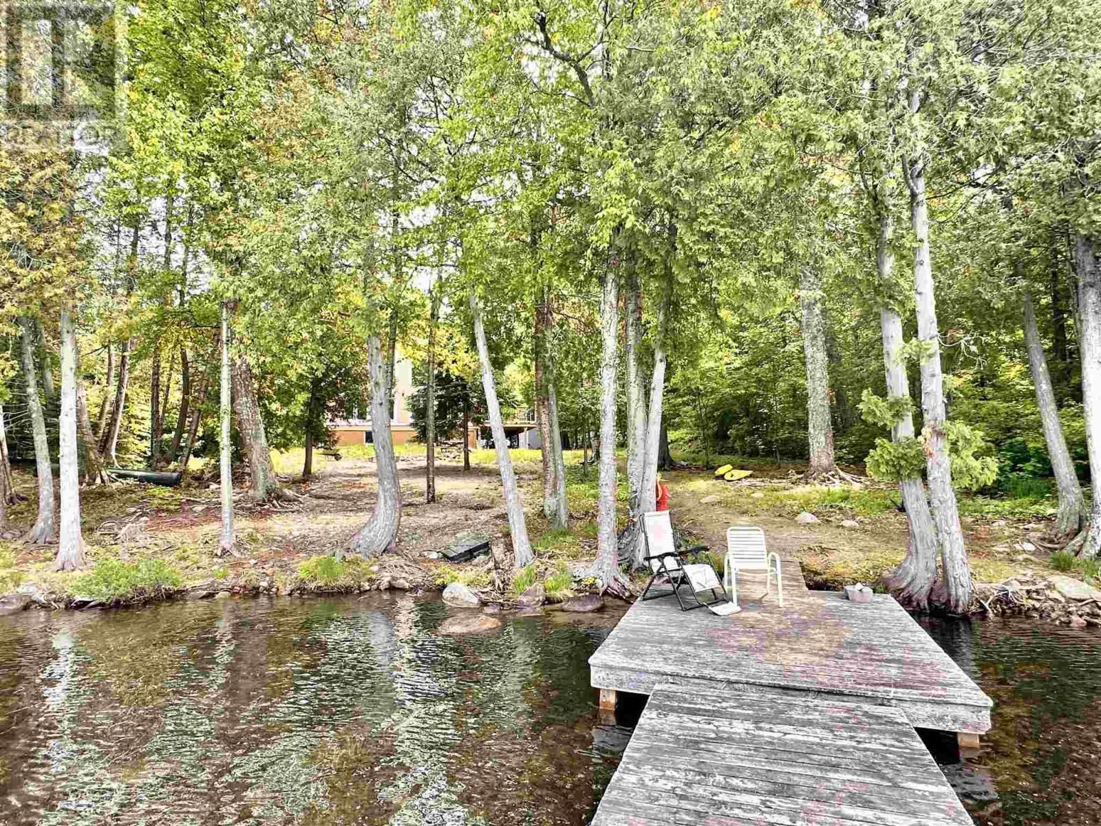884 DUNLOP SHORES RD Image 43
