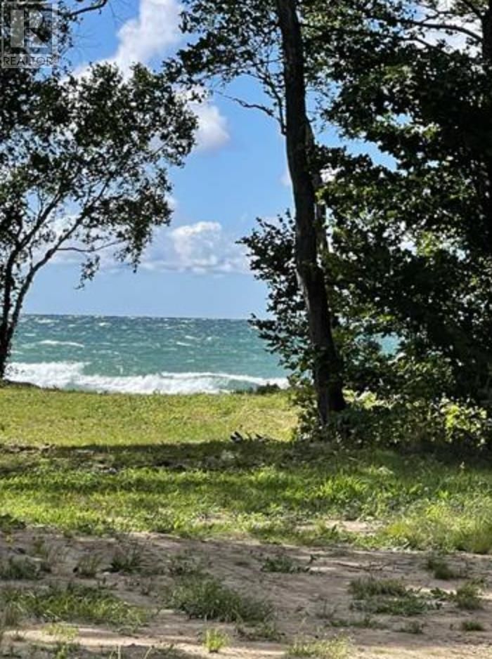 Tertiary Property View