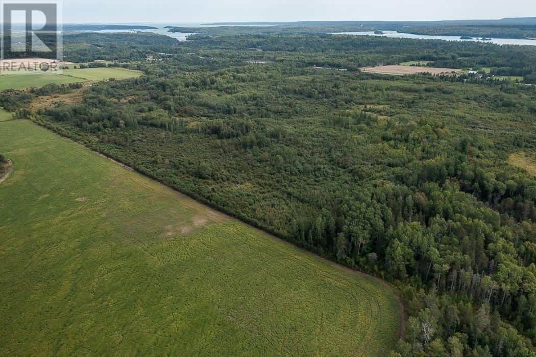 Property 6 - 6 MCKNIGHT ROAD Image 4