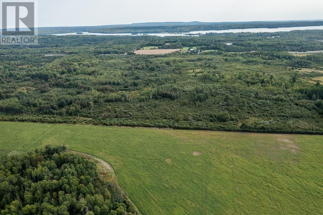 Property 6 - 6 MCKNIGHT ROAD Image 5