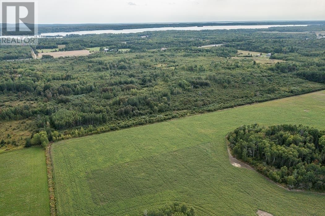 Property 6 - 6 MCKNIGHT ROAD Image 6