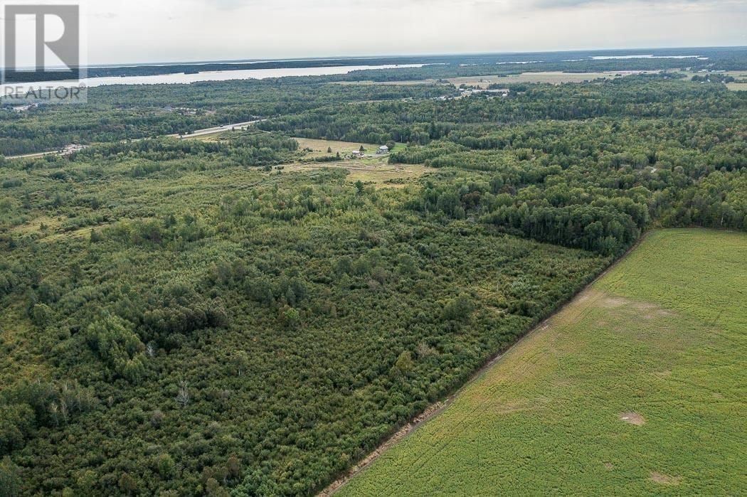 Property 6 - 6 MCKNIGHT ROAD Image 7