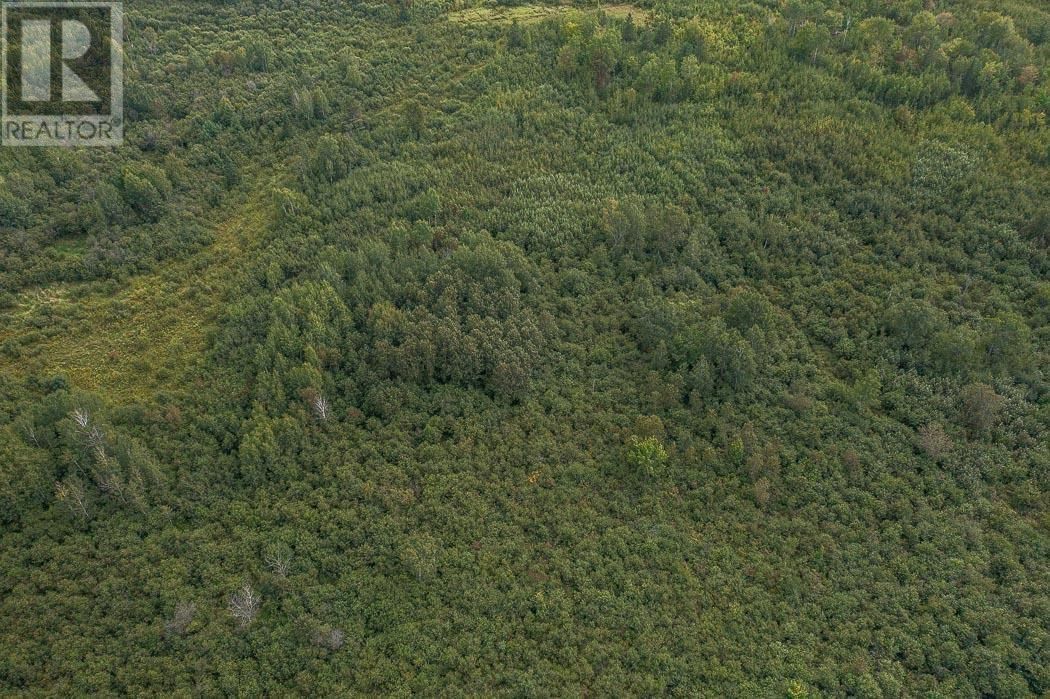 Property 6 - 6 MCKNIGHT ROAD Image 8