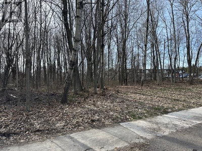 Image #1 of Commercial for Sale at Boundary, Sault Ste. Marie, Ontario